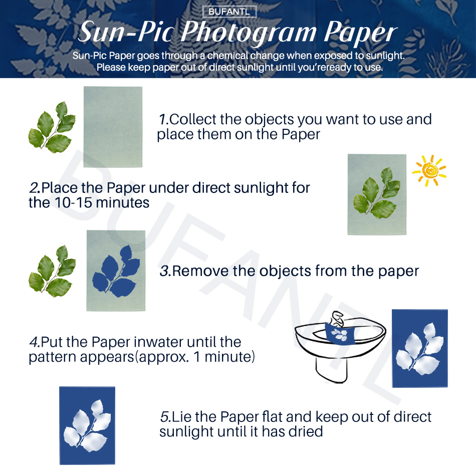 Cyanotype Paper 12 Sheets Refi – Photography Lighting For Beginners recenzja i cena