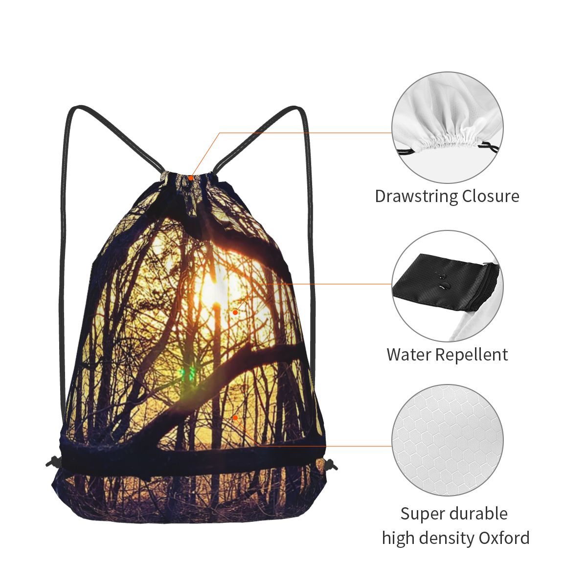 Forest Light At Sunset Nature  – Lighting In Photography Book recenzja i cena
